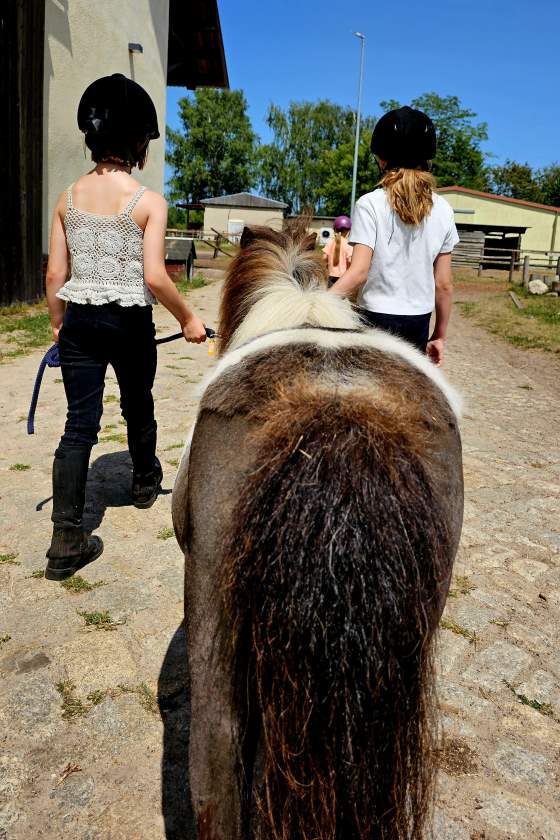 Mitgliedschaft