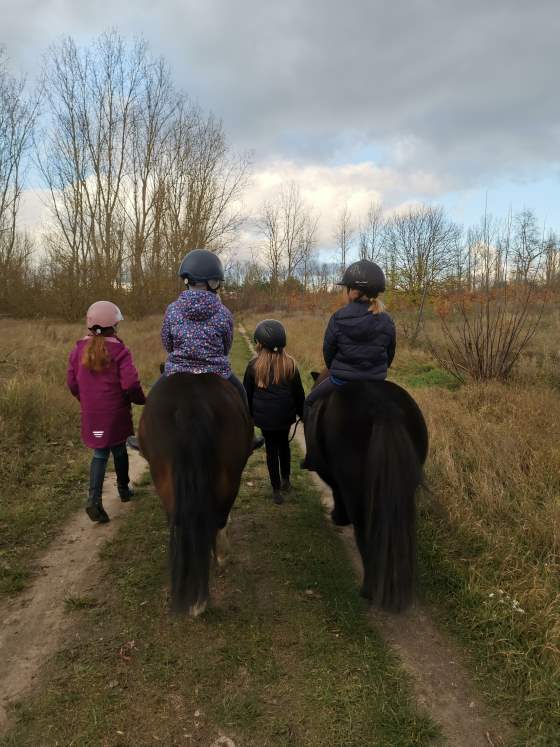 Ponyreiten