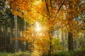 September